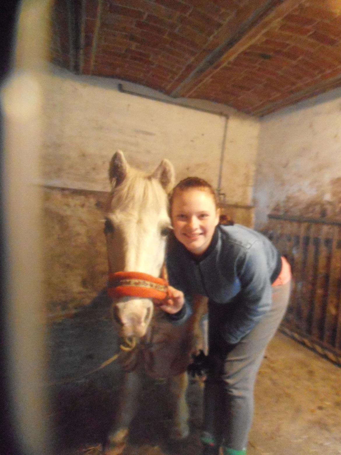 Anden særlig race Filur *passer* billede 1