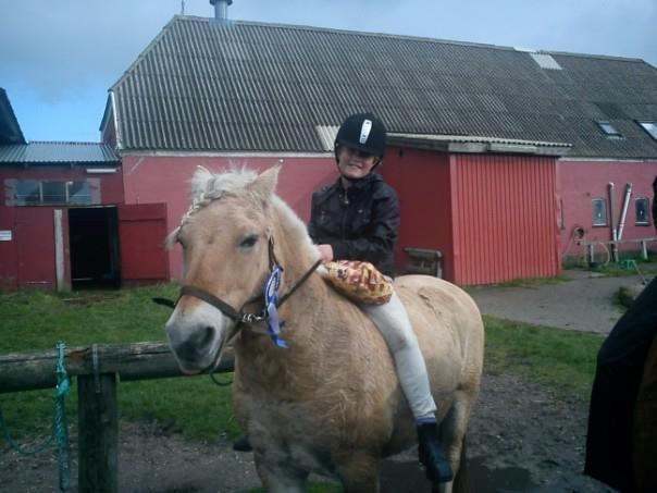 Fjordhest Lucas <3 - Sponserstævne!♥ Præmieoverrakkelse!♥ billede 5