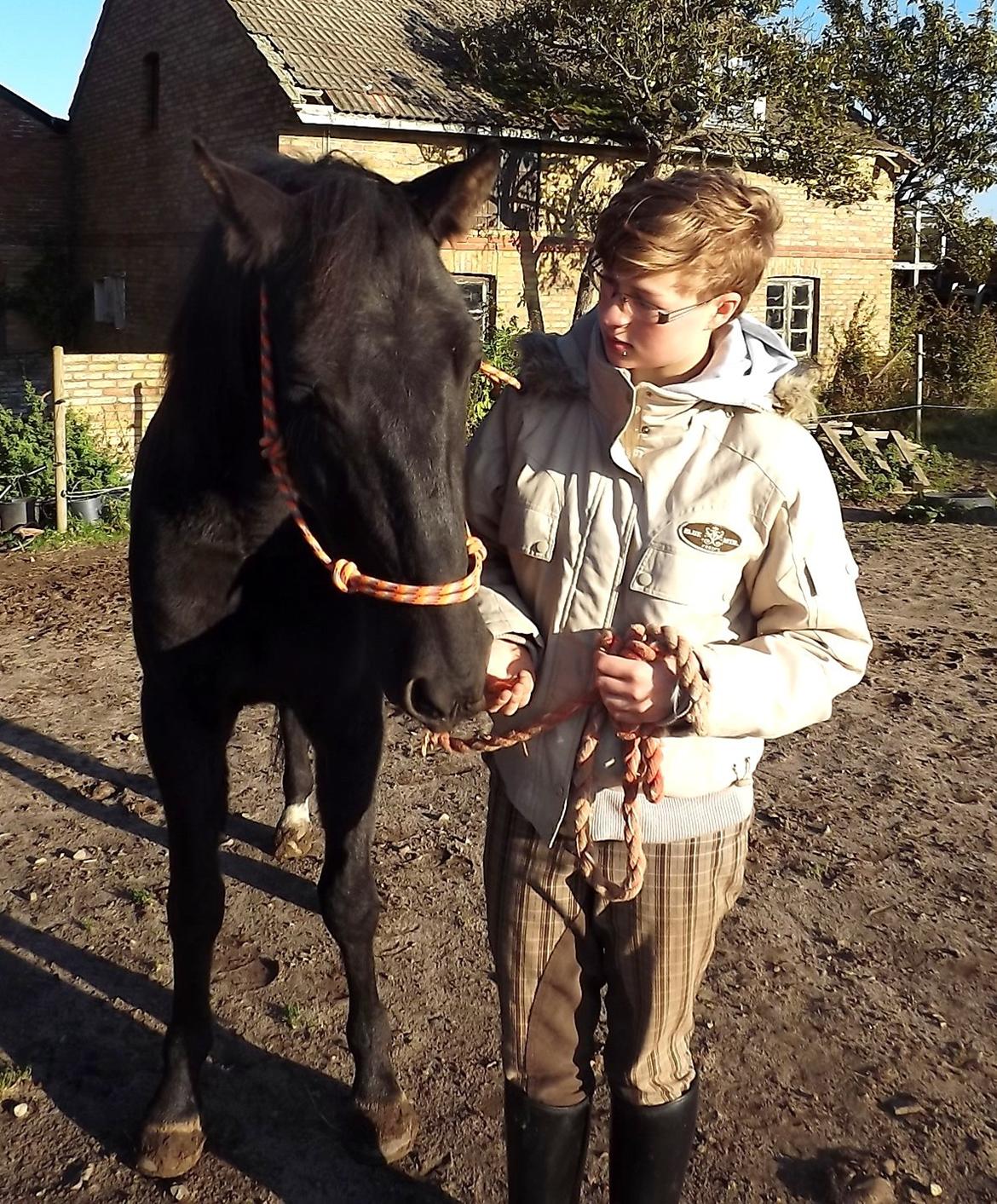 Anden særlig race Sorte [Sorté] - Min dejlige gris<3 billede 7