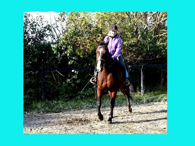 Traver Ferrari Hoff - han gør mig glad:i<3 billede 12