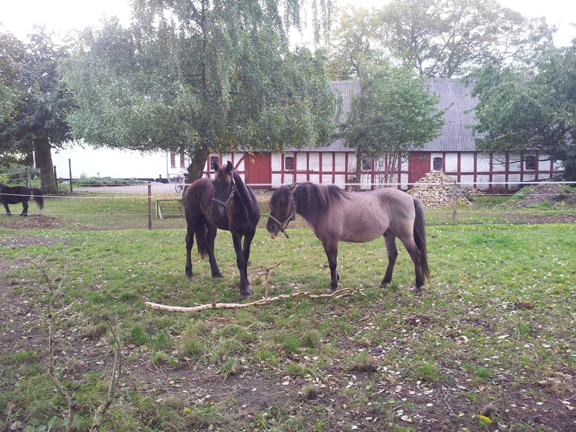 Frieser Jackie af Birkely - Hygger med Masca billede 39