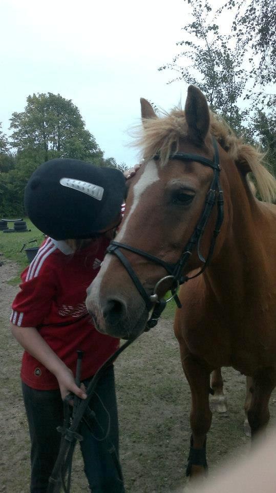 Anden særlig race Min Dreng Belci Hood:-*** - Et lille møs<3:-*** billede 5