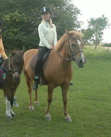 Anden særlig race Min Dreng Belci Hood:-*** - Djingo, Snuden & jeg<3:-*** billede 7