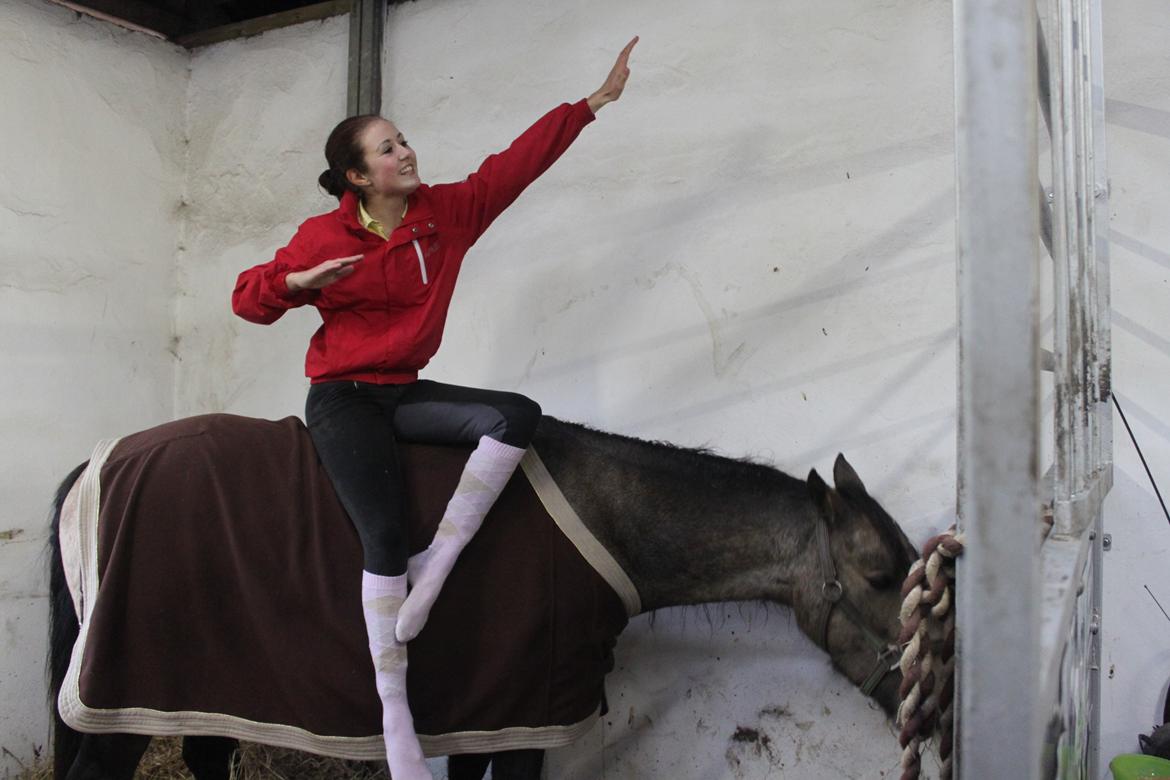 Anden særlig race Landlystes Prins Abbacus Valentino billede 14