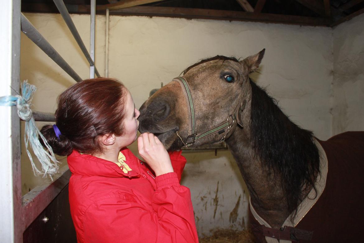 Anden særlig race Landlystes Prins Abbacus Valentino billede 16