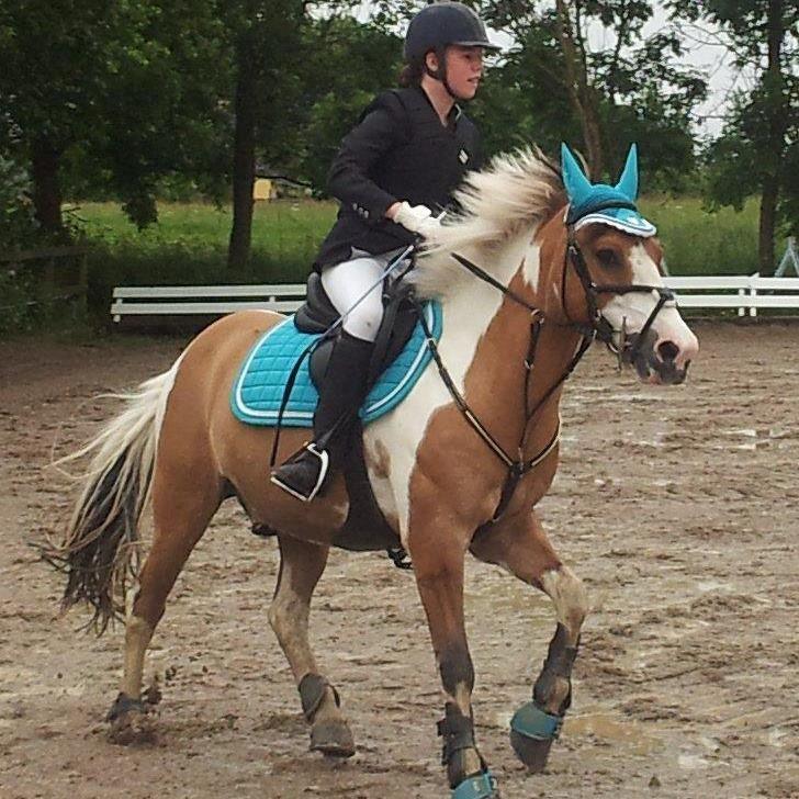 Pinto Stald poppels Hollywood Holy-man R.I.P MIN ENGEL - god som dagen er lang billede 9