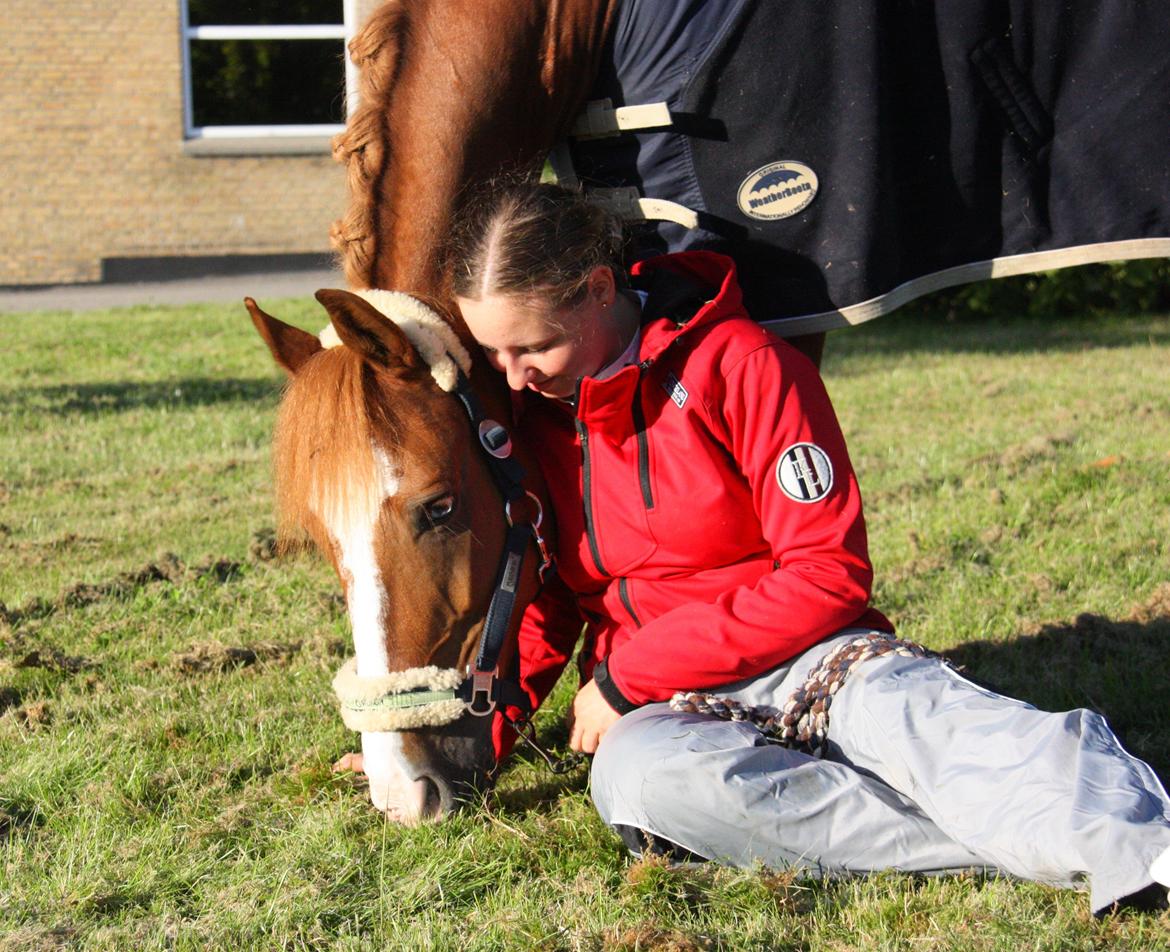Anden særlig race Armarni - Hygge og afslapning om aftenen til stævne <3 billede 19
