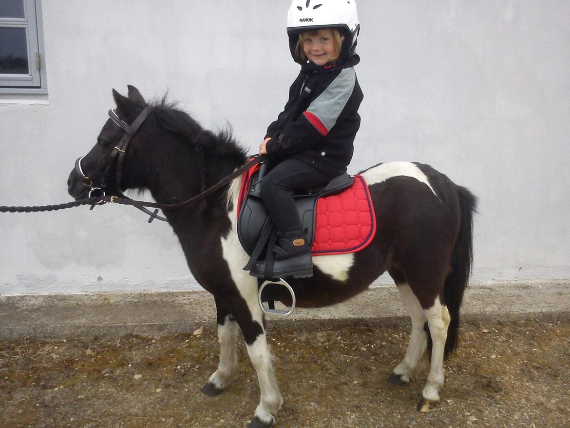 Miniature Sarah billede 1