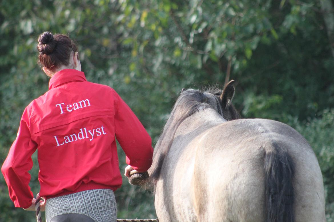 Anden særlig race Landlystes Prins Abbacus Valentino - Team Landlyst! <3 billede 18