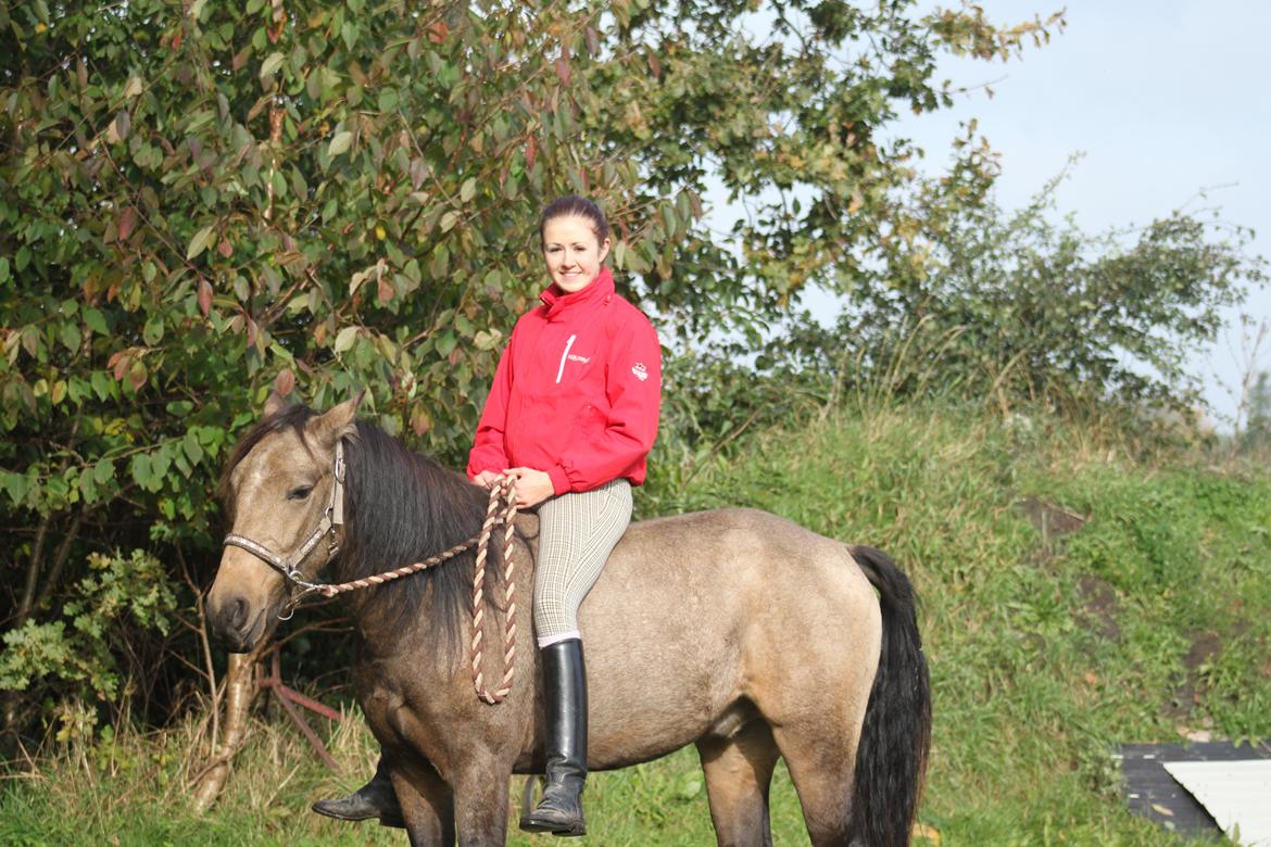 Anden særlig race Landlystes Prins Abbacus Valentino billede 3