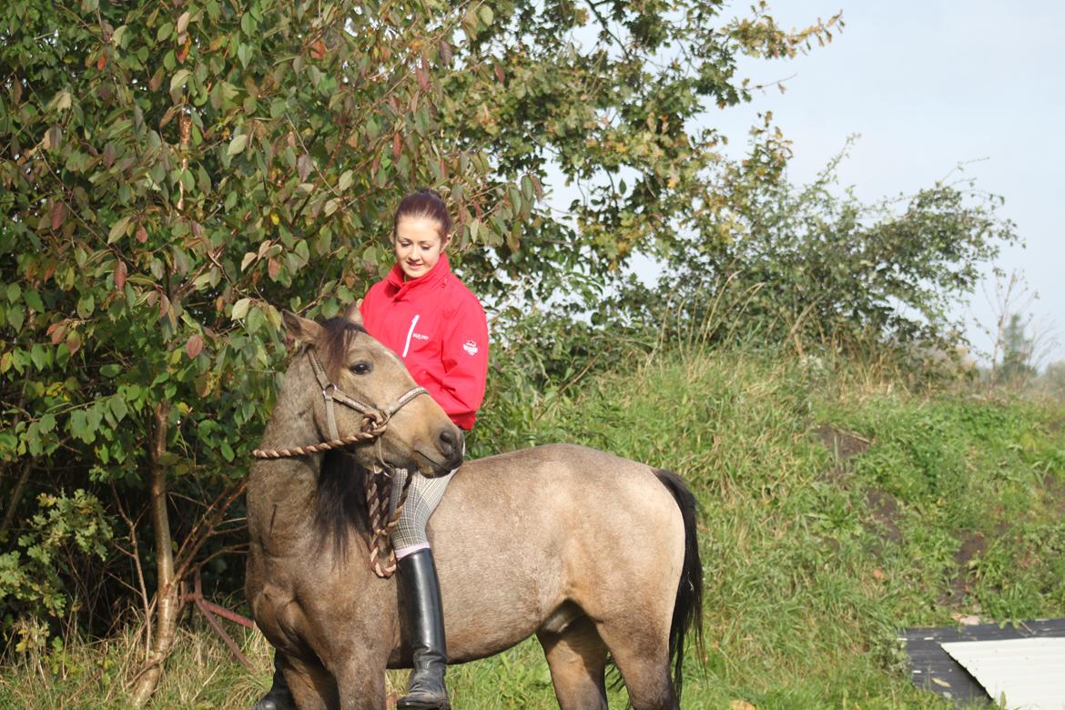 Anden særlig race Landlystes Prins Abbacus Valentino - Velkommen til Prins Abbacus Valentino´s galleri! billede 1