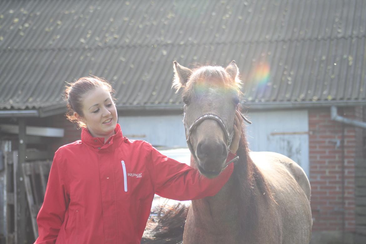 Anden særlig race Landlystes Prins Abbacus Valentino billede 15