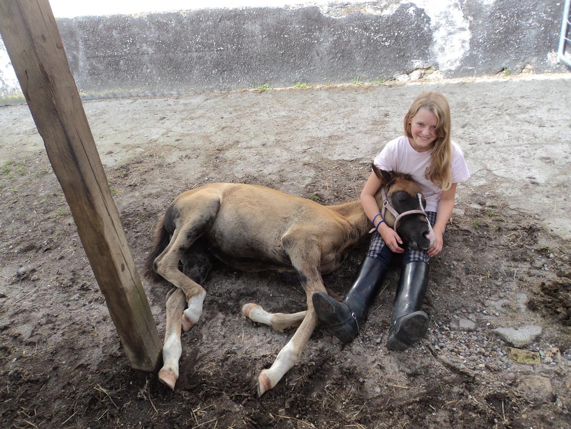 DSP Tystrupgårds Bathiba - 28. juli 2012 billede 15