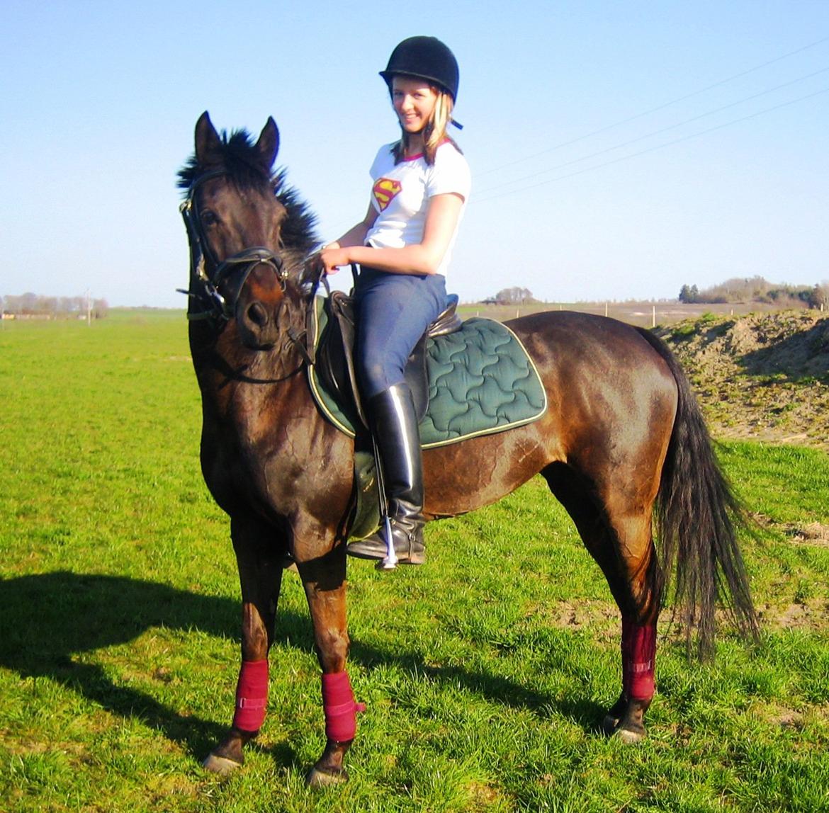 Tysk Sportspony Beauty - Et af de sidste billeder inden hun blev solgt i 2005 billede 22