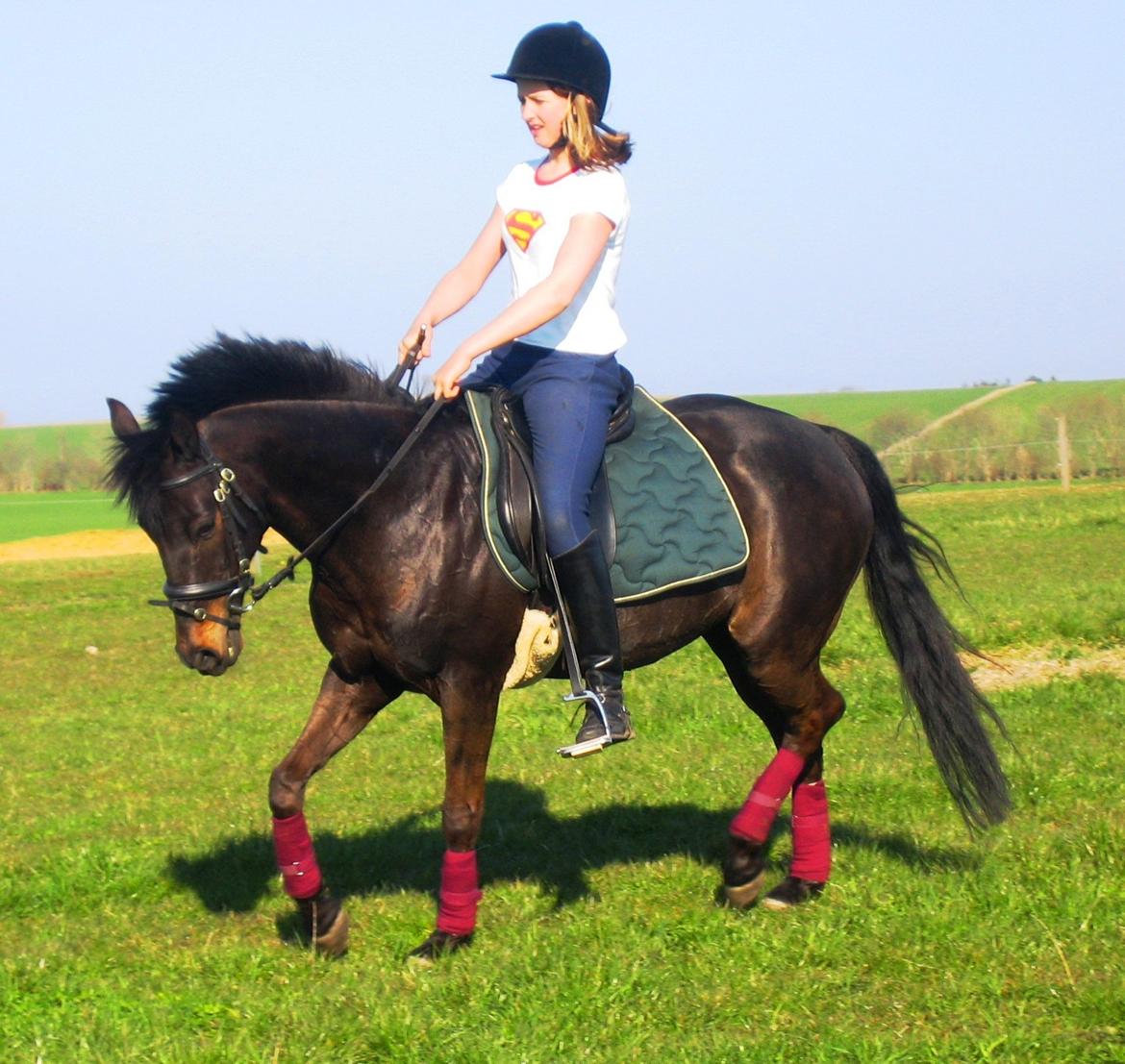 Tysk Sportspony Beauty - Et af de sidste billeder, inden hun blev solgt i 2005 billede 21