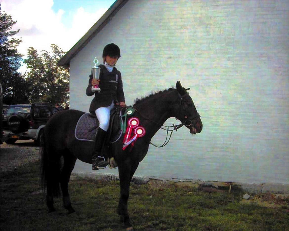 Tysk Sportspony Beauty - 2004 billede 29