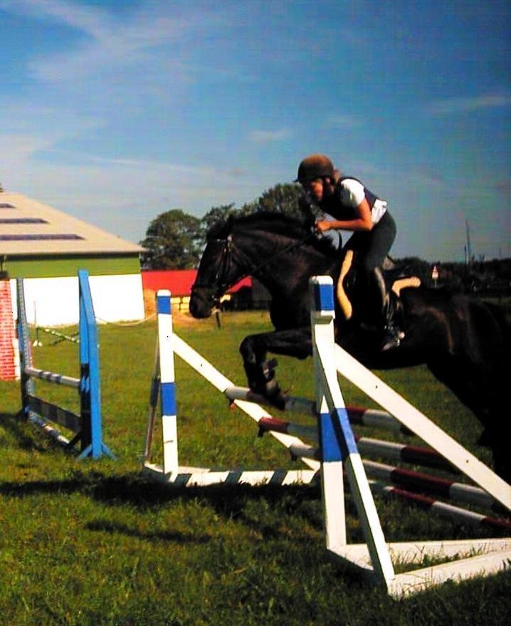 Tysk Sportspony Beauty - 2004 billede 30