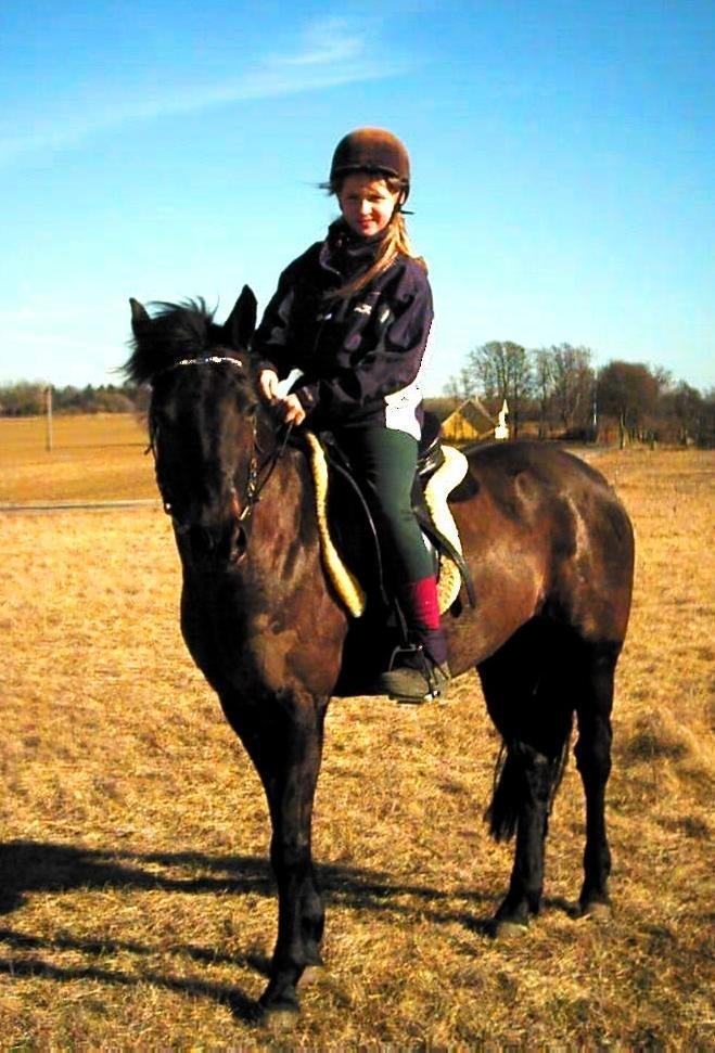 Tysk Sportspony Beauty - 2003 billede 33