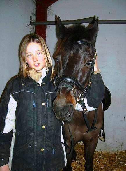 Tysk Sportspony Beauty - 2004 billede 27