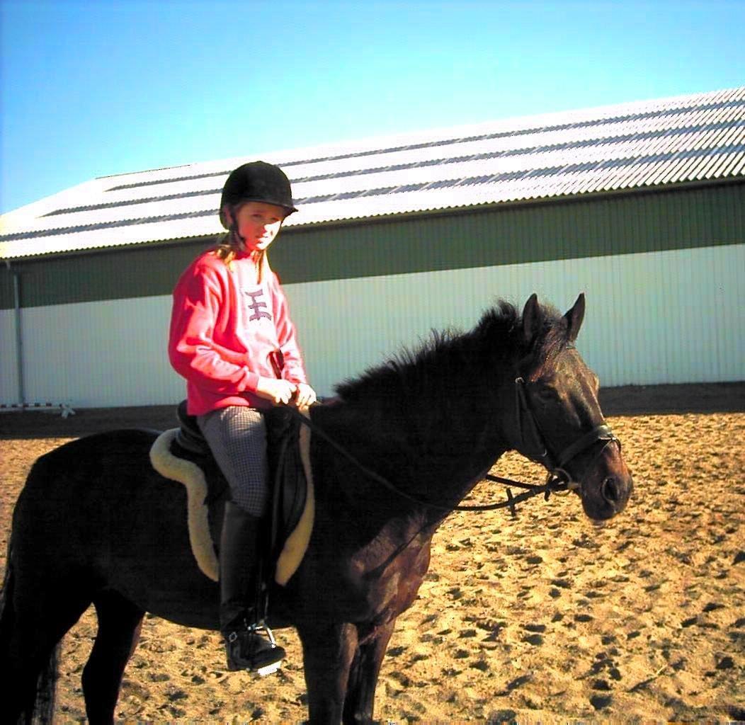 Tysk Sportspony Beauty - 2004 billede 24