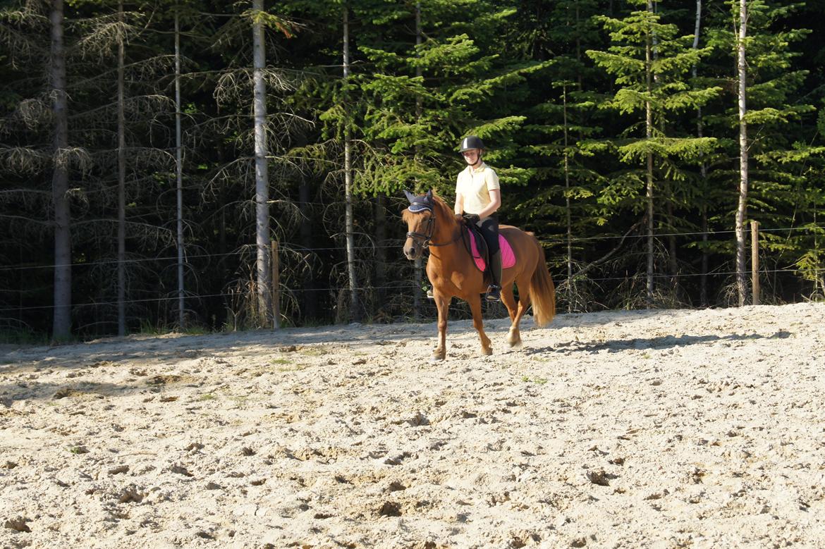 Anden særlig race Rosa - Rosa og mig billede 10