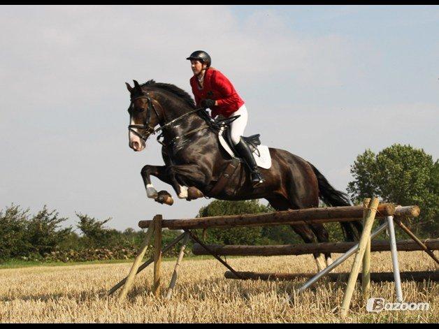 Anden særlig race Santina - Jagt på Hagenskov 2012 billede 17