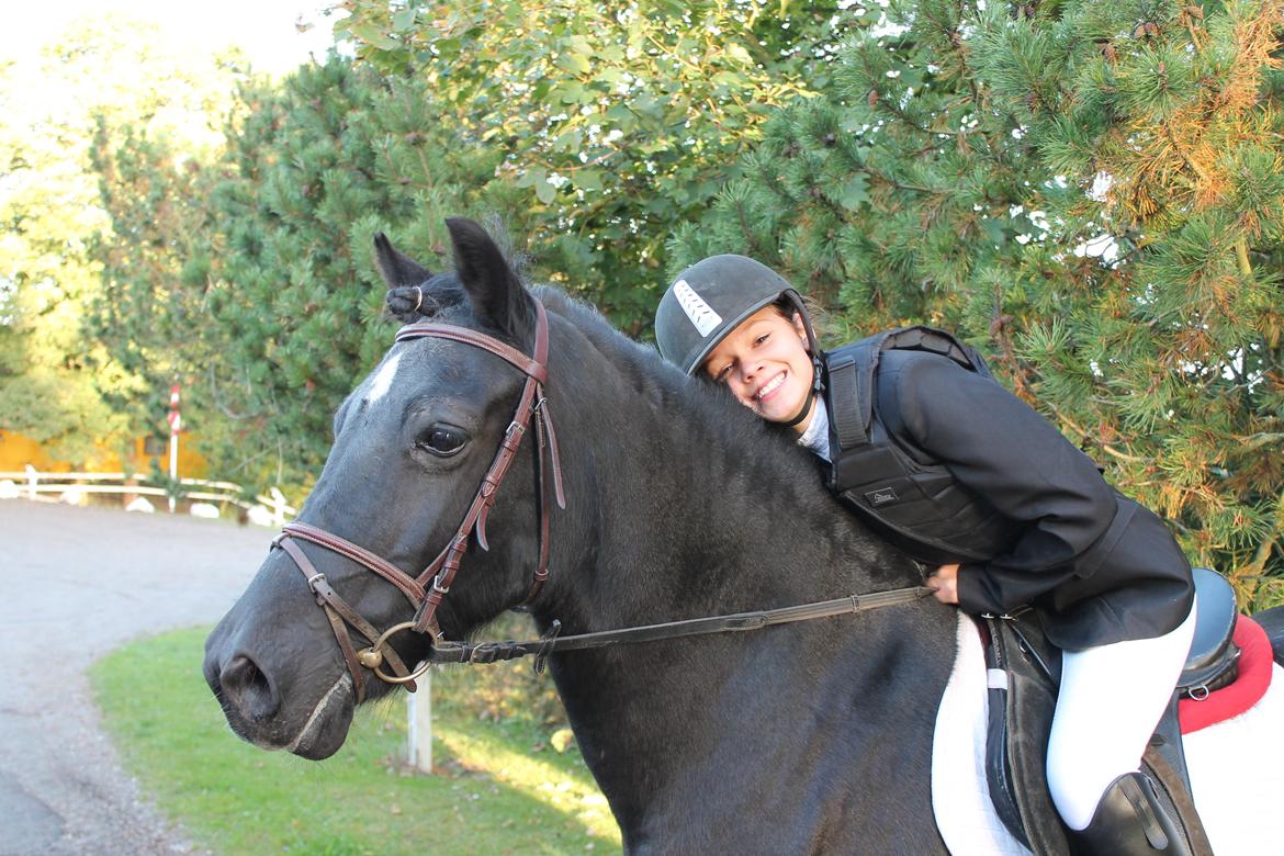 Welsh Cob (sec D) Black Magic (rideskole pony) - Dressur stævne.
Pony var dygtigt og vi fik en første plads!<3 billede 2