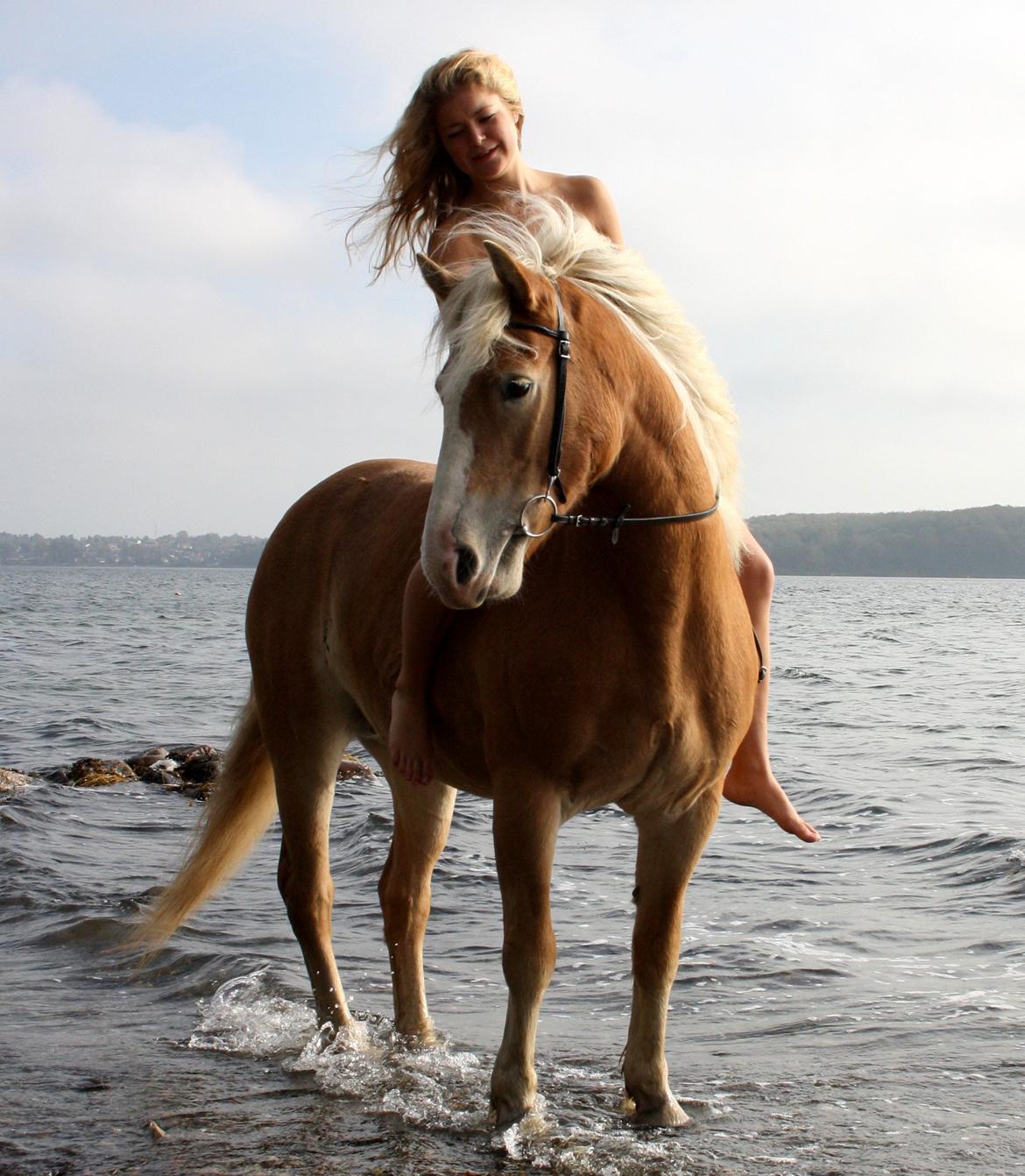 Haflinger Freja - <3
17. Oktober 2012 billede 3