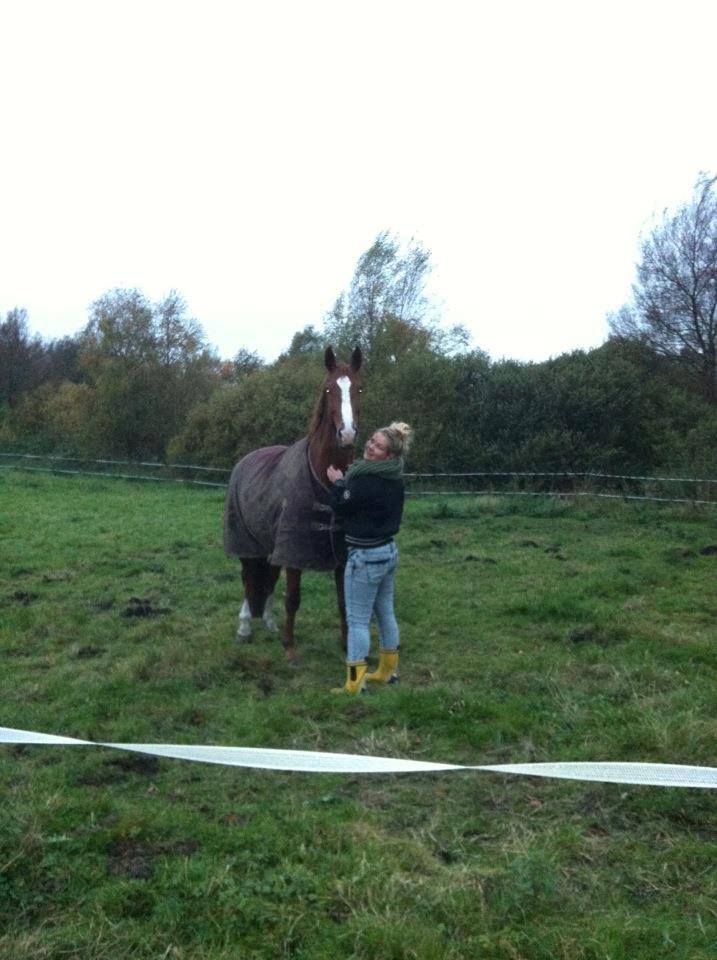 Trakehner Rosita (Bebs) - Bebs derhjemme efter 14 dage :-) billede 18