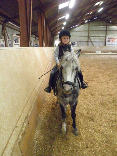 Welsh Mountain (sec A) Sisse. Himmelhest.  - Sisse og Mathilde d.17/10-12 billede 20