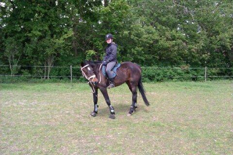 Traver Meranda Act - Hej og Velkommen til Mirandas Profil billede 1