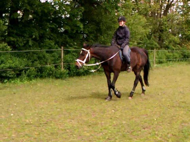 Traver Meranda Act - Mig og Mirandas føerste skrid tur run på marken billede 2