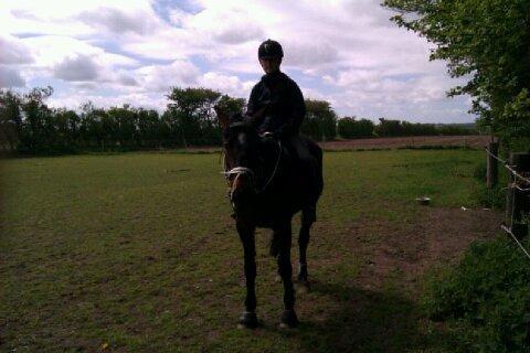 Traver Meranda Act billede 3