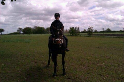 Traver Meranda Act billede 4