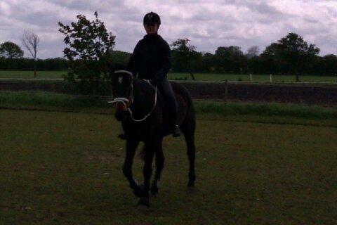 Traver Meranda Act billede 5