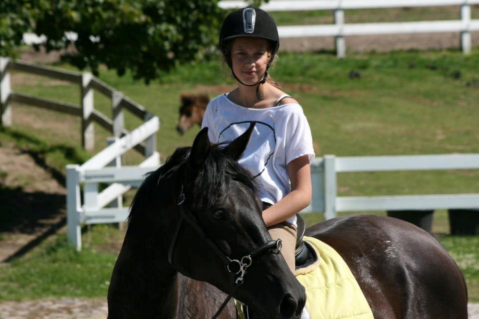 Dansk Varmblod Duchesse [Himmel hest] billede 14