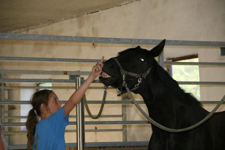 Dansk Varmblod Duchesse [Himmel hest] - Hun er ved at lære at smile!<3 billede 15