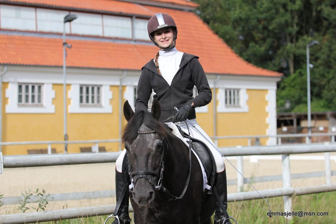 Welsh Cob (sec D) Silva - Stævne på HØRS, juni 2012 billede 7