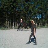 Dansk Varmblod elonias amazing donna. billede 6