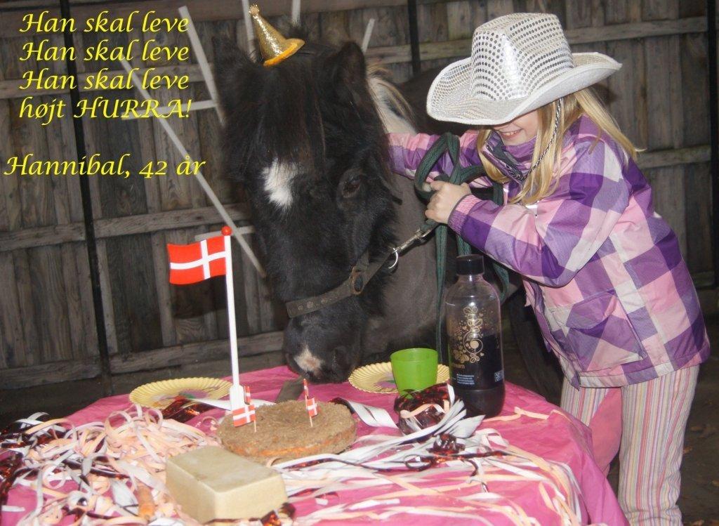 Anden særlig race Hannibal billede 6