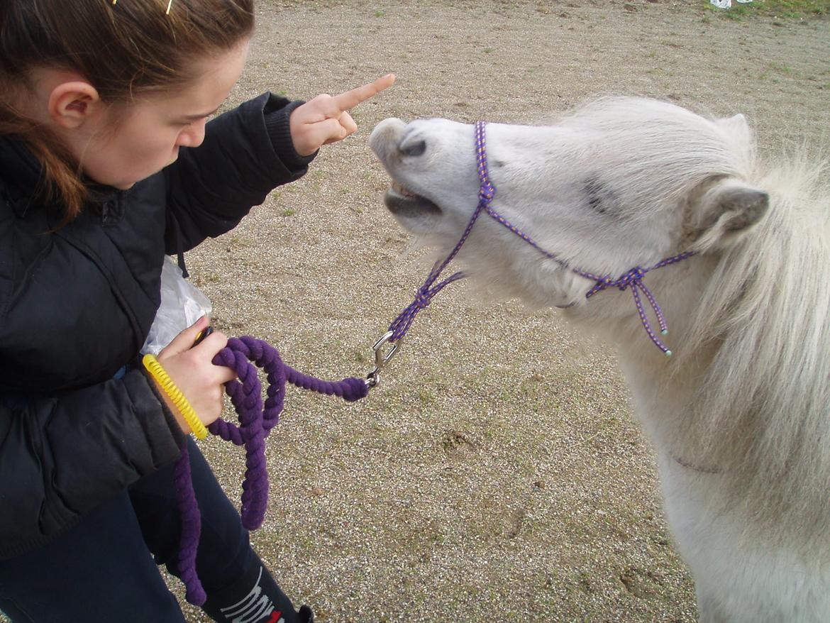 Dansk Miniature <3Katrinemindes perhaps love<3 Soulmate!<3 - „smil til verden og verden smiler til dig“ billede 10