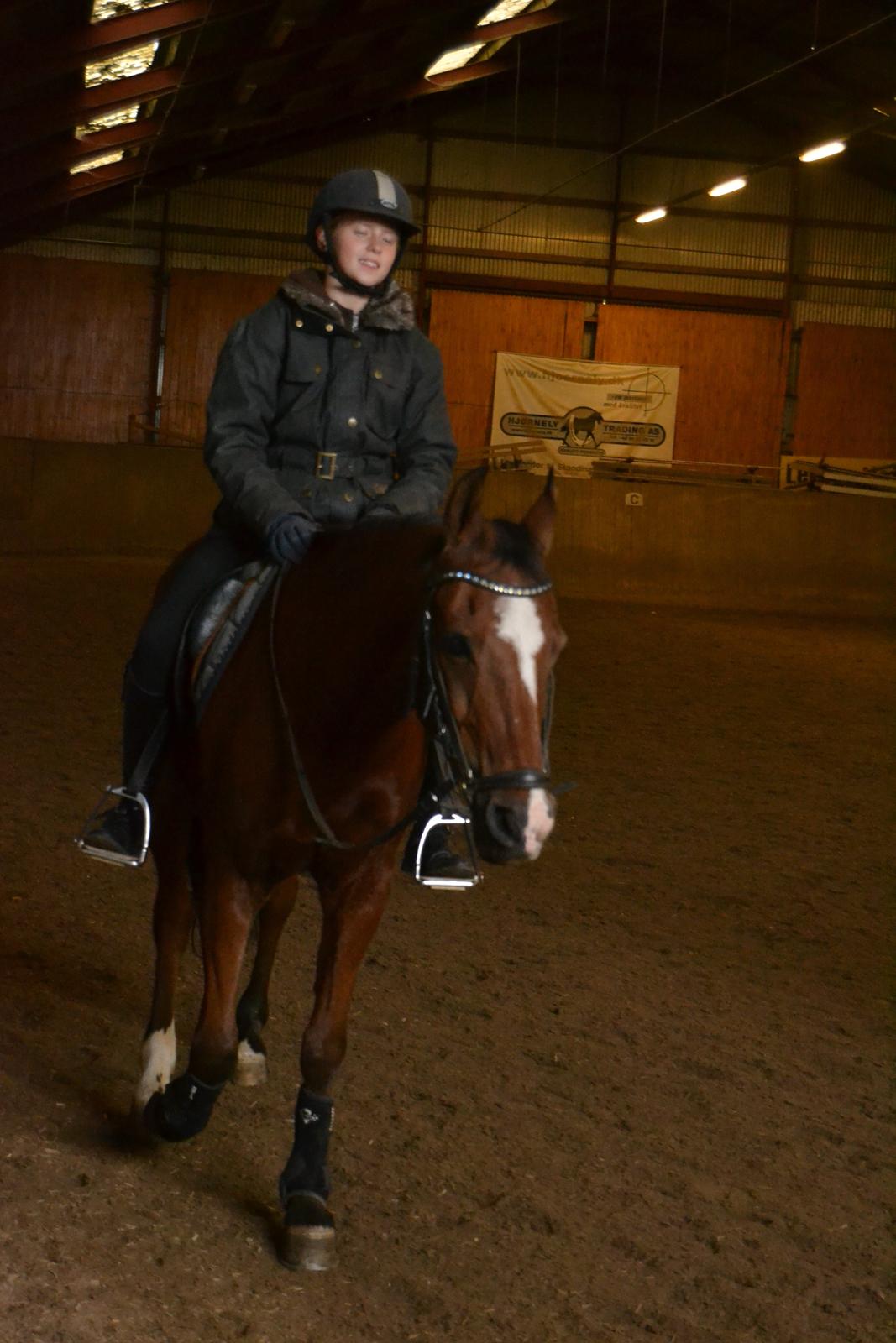 DSP Passion *palle* (skadet) - velkommen til Passion´s profil<3 billede 1