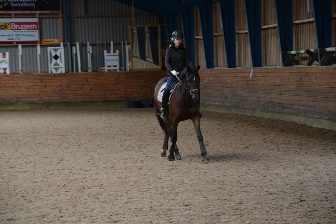 Holstener Cypresgårdens Coriane - Undervisning hos Henning i oktober.  billede 7