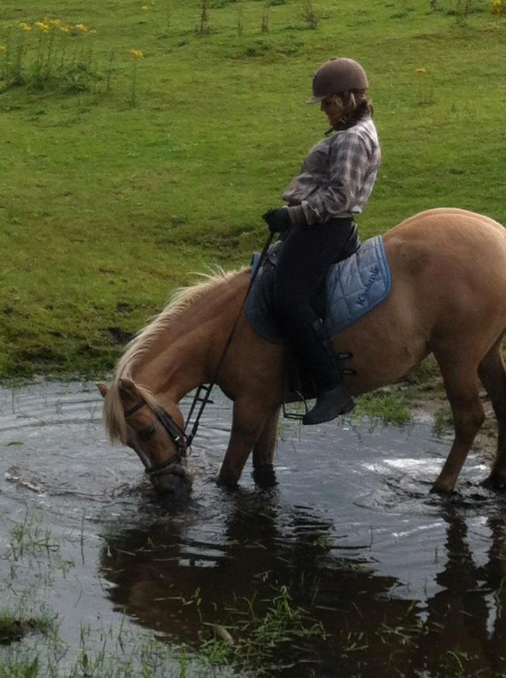 Anden særlig race Hedebo's May Rider *Aflivet* - en dejlig sommerdag 2012 i den lille sø :)♥ billede 5