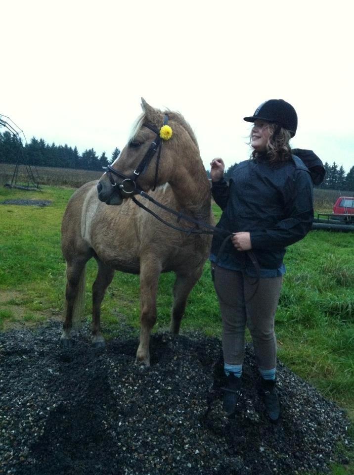 Anden særlig race Hedebo's May Rider *Aflivet* - Den smukke May♥
- Ynglings billede!♥ billede 12
