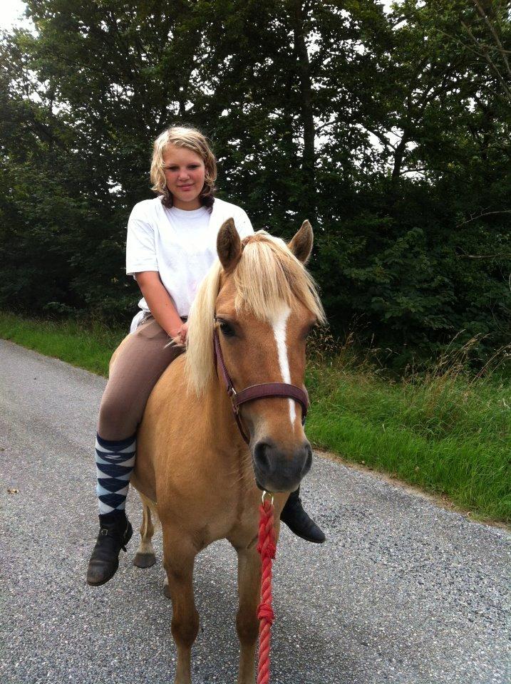 Anden særlig race Hedebo's May Rider *Aflivet* - anden gang på May uden sadel :)♥ billede 14