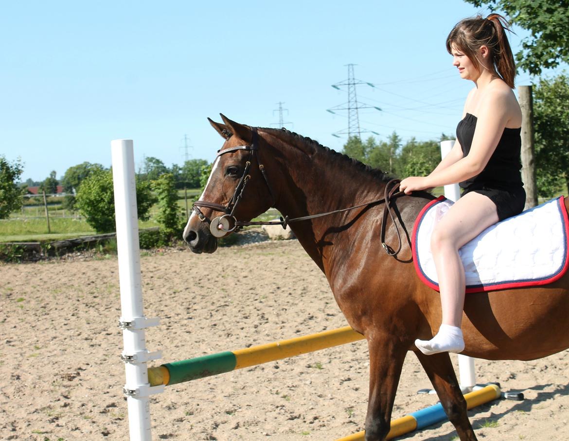 Irsk Sportspony Magic Rose - 2012 sidste spring tur på den fantastiske rose <3 billede 9