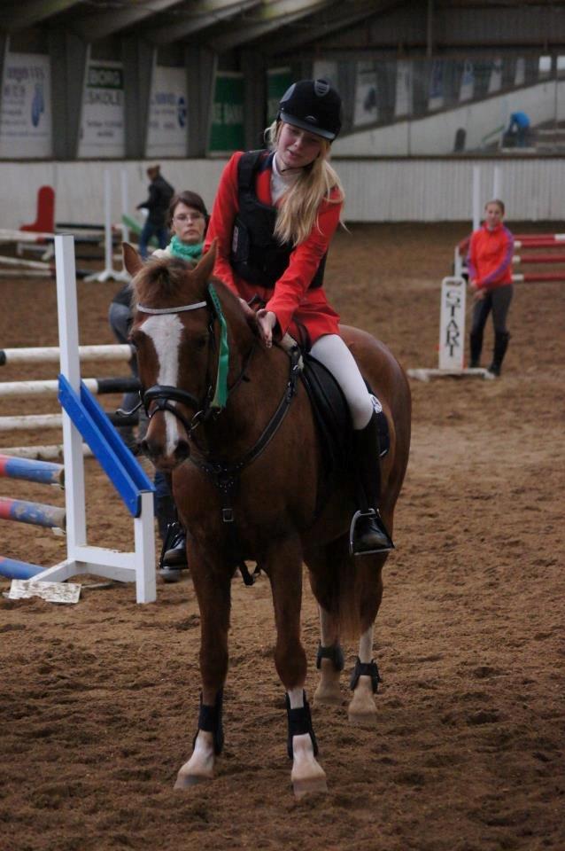 Anden særlig race Røde/Taz - Lc Søhøjlandets Cup på Sir 2012.
4 plads!
Han var bare så god og sød den dag.. billede 15