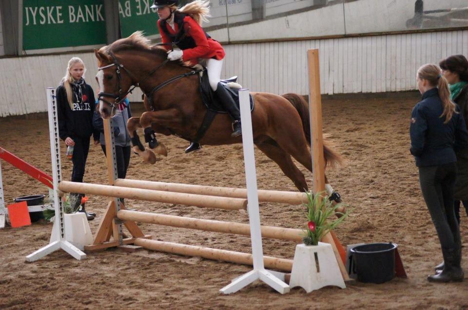 Anden særlig race Røde/Taz - Søhøjlandets Cup på Sir.. Lc.
Et dejligt spring! :) billede 16