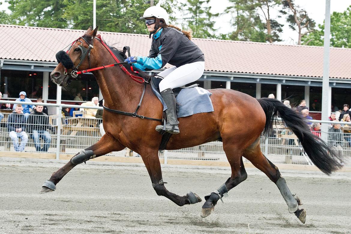 Traver Junior billede 1